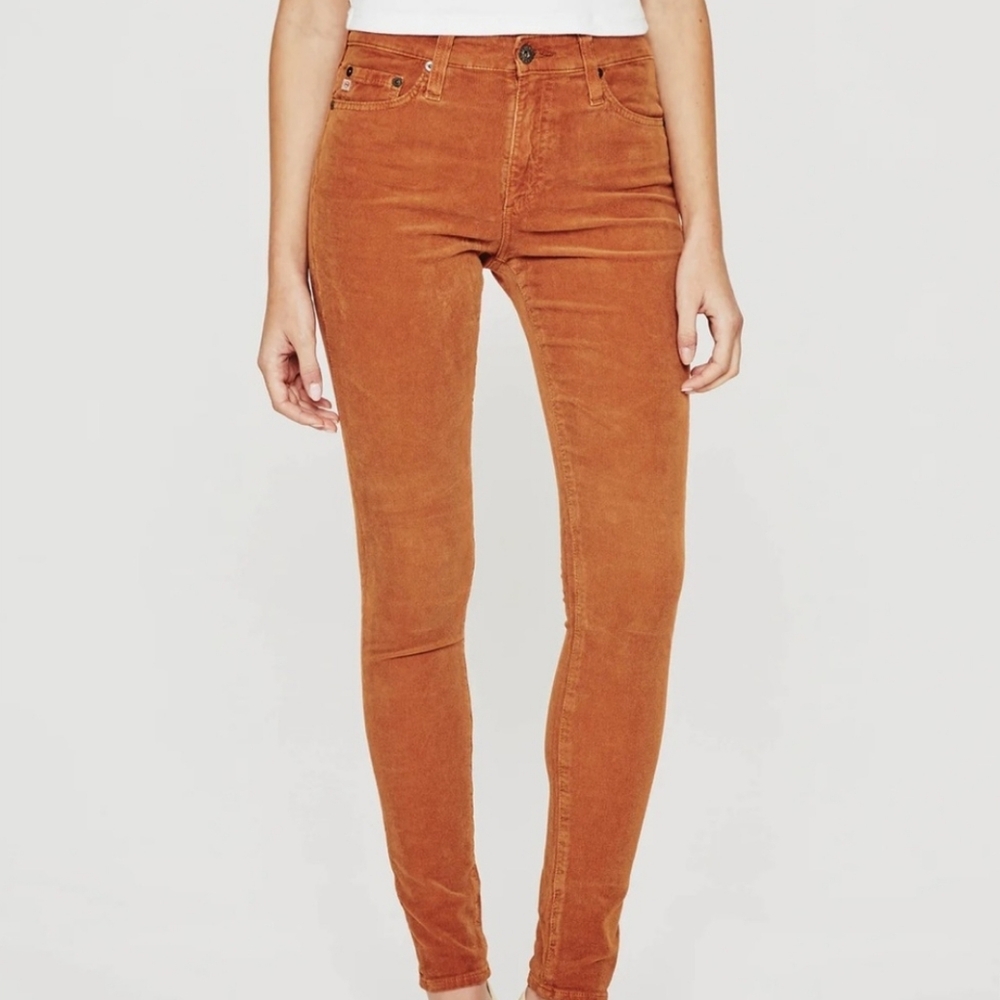 NWT AG Adriano Goldschmied | $215 Farrah Skinny Corduroy Jeans